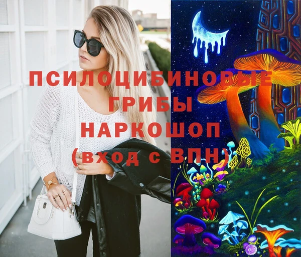 СК Богородицк