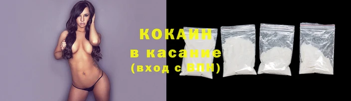 крисы Белокуриха