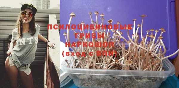 крисы Белокуриха