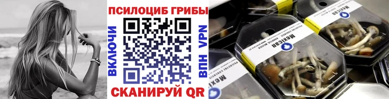 Галлюциногенные грибы Psilocybine cubensis  Макаров 