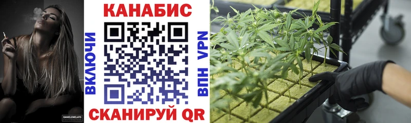 МАРИХУАНА SATIVA & INDICA  Макаров 